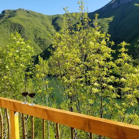 Twin Villas Komani Lake Eksteriør bilde
